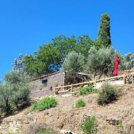 Cabanon En Pierre - Vue Sur * Hyeres